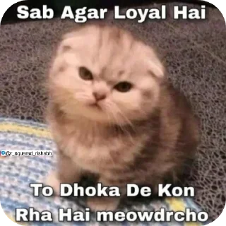 🤲 emoji Billiyokapamk @r_squared_rishabh Telegram sticker 15 of 48