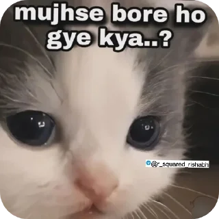 🖼 emoji Billiyokapamk @r_squared_rishabh Telegram sticker 17 of 48
