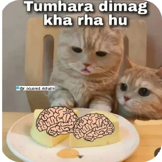 🖼 emoji Billiyokapamk @r_squared_rishabh Telegram sticker 19 of 48