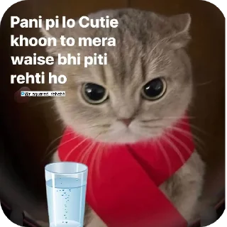 🐱 emoji Billiyokapamk @r_squared_rishabh Telegram sticker 10 of 48