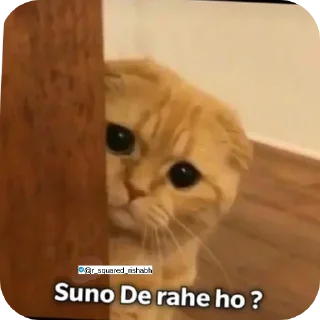 🐱 emoji Billiyokapamk @r_squared_rishabh Telegram sticker 14 of 48