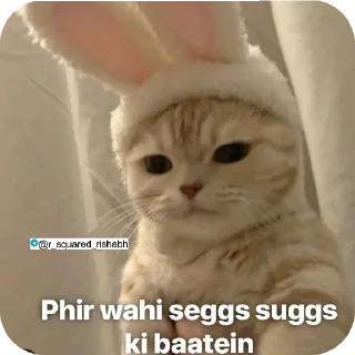 🐱 emoji Billiyokapamk @r_squared_rishabh Telegram sticker 7 of 48