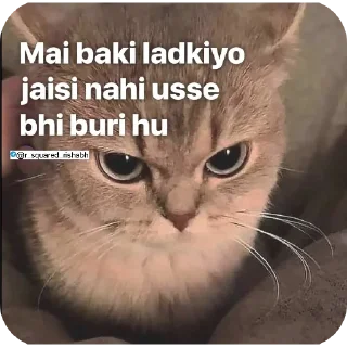 🖼 emoji Billiyokapamk @r_squared_rishabh Telegram sticker 6 of 48
