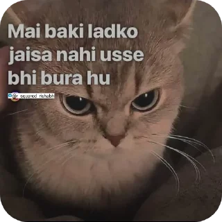 👍 emoji Billiyokapamk @r_squared_rishabh Telegram sticker 5 of 48