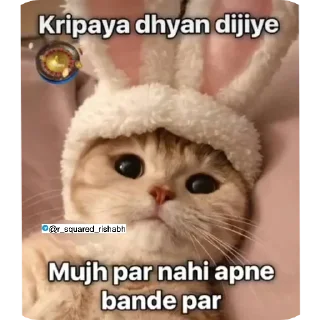🖼 emoji Billiyokapamk @r_squared_rishabh Telegram sticker 13 of 48