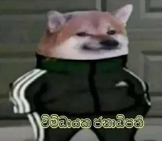 Sticker from Cheems 2