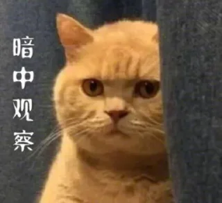 😐 emoji @freeyule 节点订阅白嫖交流群 Telegram sticker 11 of 115