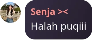 👷‍♀️ emoji khusus nja Telegram sticker 19 of 39