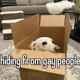 Sticker from Homophobic Dog