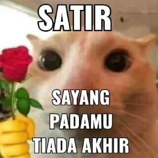 🌹 emoji waduh 😅 Telegram sticker 6 of 82