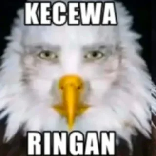 🦅 emoji waduh 😅 Telegram sticker 19 of 82