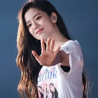 Sticker from Kim Jisoo @homejuno