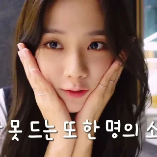 Sticker from KIM JISOO — @KINGSIGH