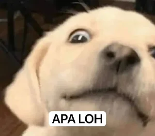 Sticker from anjing