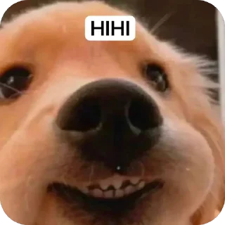 Sticker from anjing