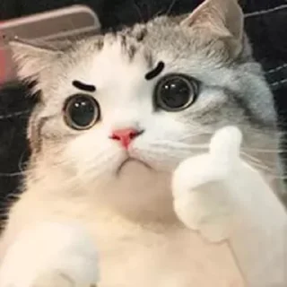 👍 emoji 😤 Telegram sticker 1 of 119