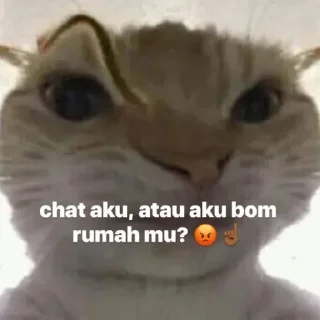 😡 emoji khusus untuk lily Telegram sticker 19 of 41