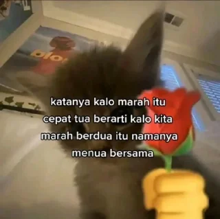 🧔‍♀ emoji khusus untuk lily Telegram sticker 22 of 41