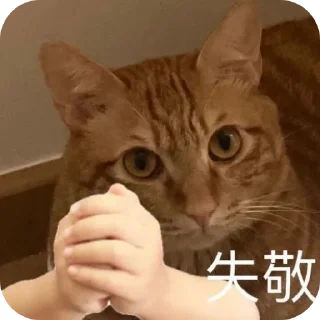 🐱 emoji 逗比3.0 Telegram sticker 15 of 120
