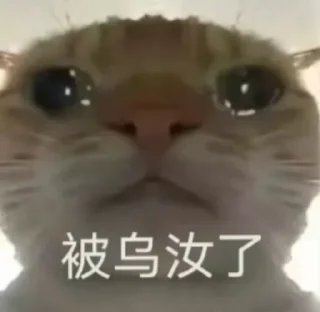 😭 emoji @danwu 会员代开 图标定制 飞机号 能量租赁 Telegram sticker 3 of 12