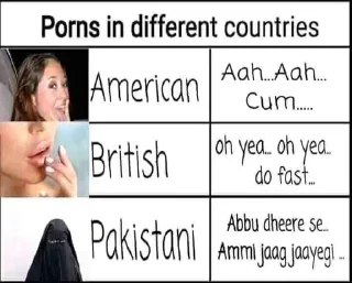 Sticker from PKMKB [Pakistan Ki Maa Ka Bhosda]