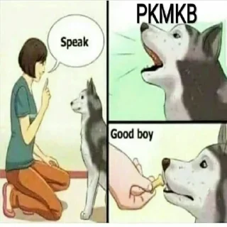 😂 emoji [@Vegan_Movies] PKMKB {Pakistan Ki Maa Ka Bhosda} Telegram sticker 19 of 58