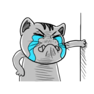 😭 emoji Ugly Tabby Cat (FULL) [英文/印尼] @WSZB_Stickers Telegram sticker 12 of 71