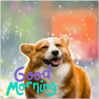 😀 emoji Sasti Masti Corgi @prstickers Telegram sticker 7 of 14