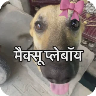 Sticker from Masti 😋