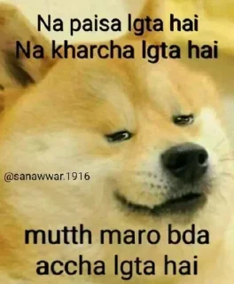 🌚 emoji @thakur13bhai :2 @sigmaboy1317 Telegram sticker 23 of 109