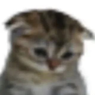 😭 emoji रिओ >𝟑' /@Merabaaaap cat pack Telegram sticker 14 of 87