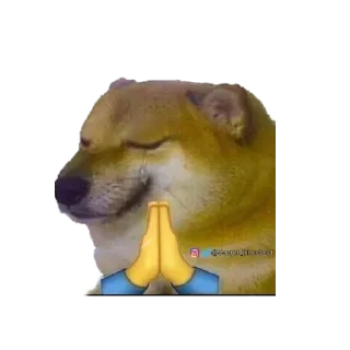 🙏 emoji ᴄʜᴇᴇᴍs ᴠ2 || @STICKERS_ST0RE Telegram sticker 7 of 120
