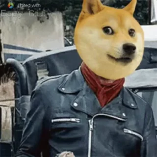 🏵 emoji @PASHA2OP's Pack 1 (Video) Telegram sticker 12 of 50
