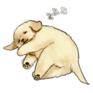 💤 emoji The Golden Retriever Puppy! Prt. 1-2 (FULL) [ENG] @WSZB_Stickers Telegram sticker 12 of 80
