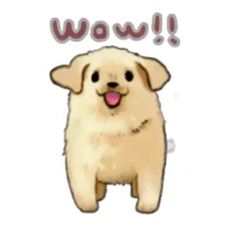 😯 emoji The Golden Retriever Puppy! Prt. 1-2 (FULL) [ENG] @WSZB_Stickers Telegram sticker 5 of 80