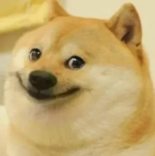 🙂 emoji PepperonyX ke cheems Telegram sticker 4 of 111