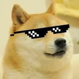 😎 emoji PepperonyX ke cheems Telegram sticker 7 of 111