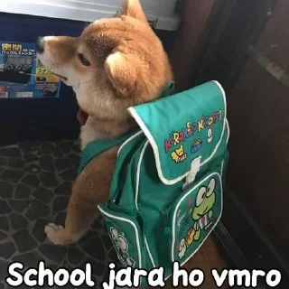 🌟 emoji Roronoa Zoros kang pack 1 Telegram sticker 20 of 74