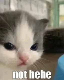 😾 emoji ČŁ𝕆ⓦ𝐍🍀𝕯𝖚𝖗𝖌𝖊𝖘𝖍  @Anime_Group_Chat_Bharat Telegram sticker 7 of 110