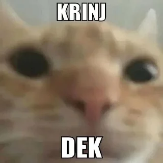 🌟 emoji drynea punya 😎 Telegram sticker 23 of 25