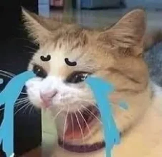 😿 emoji ary's pack 1 Telegram sticker 11 of 23