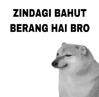 Sticker from @sahil_yadav21 CHEEMS — @stckrRobot