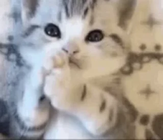 🥺 emoji @tumm_Or_mein 🤍🦋 @dydreamer🐬 — @stckrRobot Telegram sticker 22 of 50