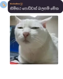 Sticker from Area 51 වදන්😂