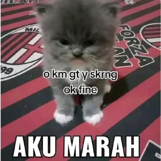 Sticker from Lucu