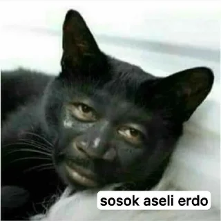 🌟 emoji sirkel manusia imut pack by @QuotLyBot Telegram sticker 4 of 120