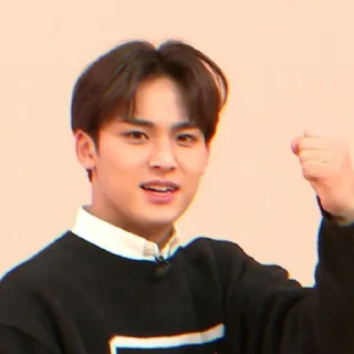 Sticker from mingyu