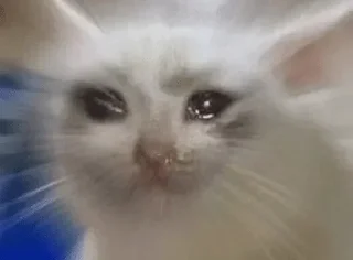 😢 emoji Pets @Arc100 Telegram sticker 23 of 46