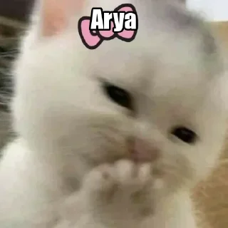 🤎 emoji @SILENT_GURLLL sᴛɪᴄᴋᴇʀ ᴘᴀᴄᴋ Telegram sticker 7 of 13