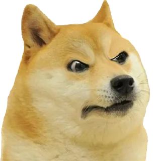 🐕 emoji • M E O W •s kang pack Telegram sticker 24 of 28
